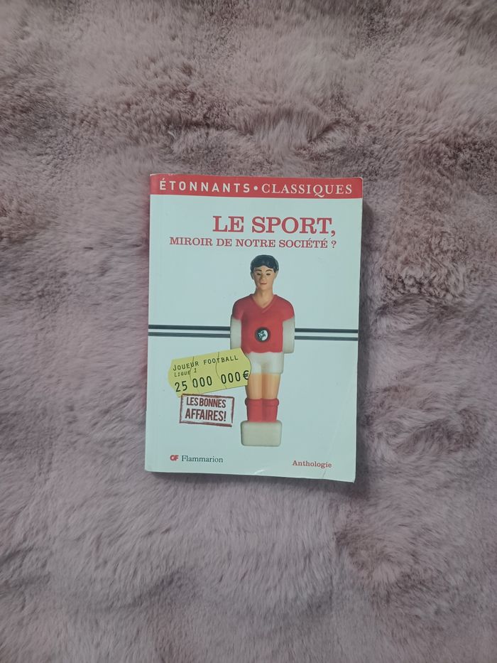 Livre: le sport, miroir de notre société