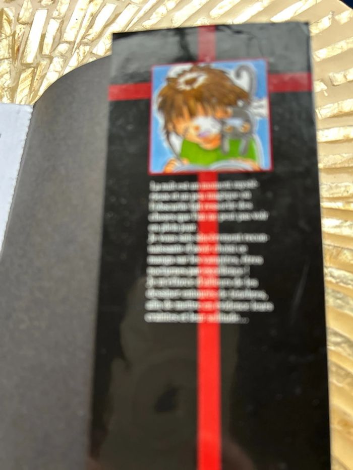 Vampire chronicles tome 1 - photo numéro 7