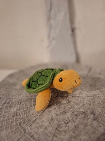 Peluche tortue