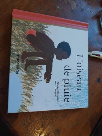 Livre l'oiseau de pluie