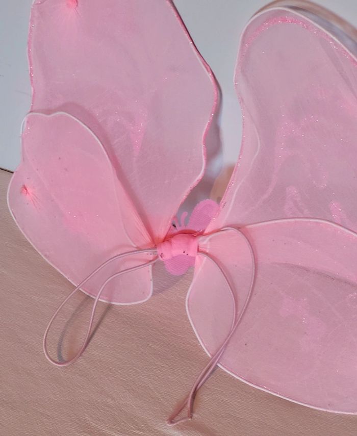 Papillon dorsal déguisement - photo numéro 4