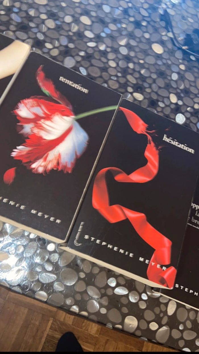 Livre twilight - photo numéro 3