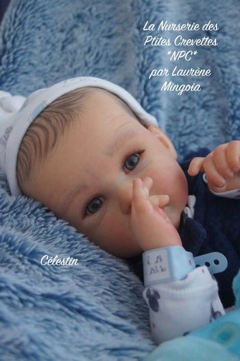 Célestin poupée bébé Reborn authentique 🩵