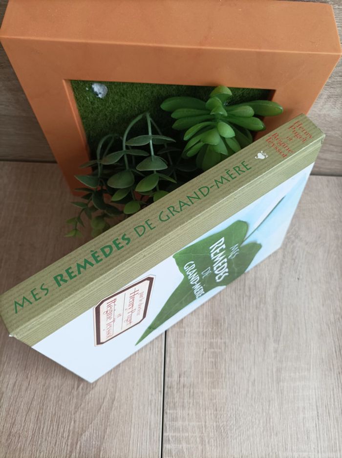 Livre mes remèdes de Grand-mère - photo numéro 4