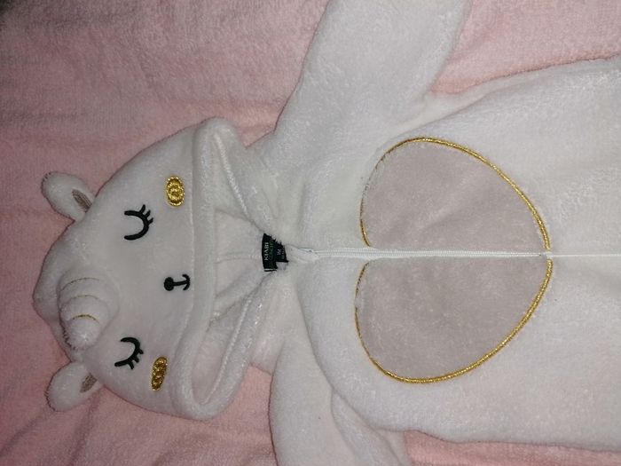 Combi licorne - photo numéro 3