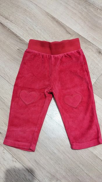 Pantalon velours Fushia DPAM 12 Mois
