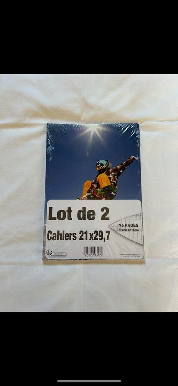 Lot 2 cahiers fantaisie