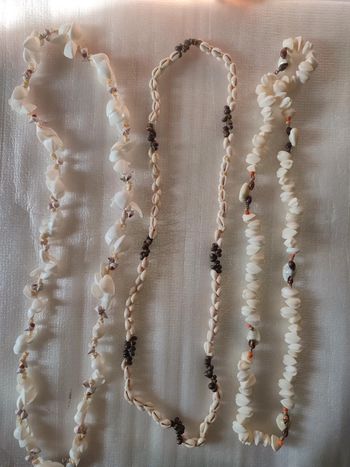 Colliers coquillage