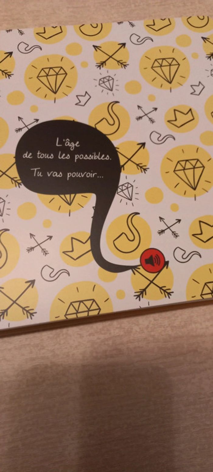 Livre à enregistrer 20ans - photo numéro 4