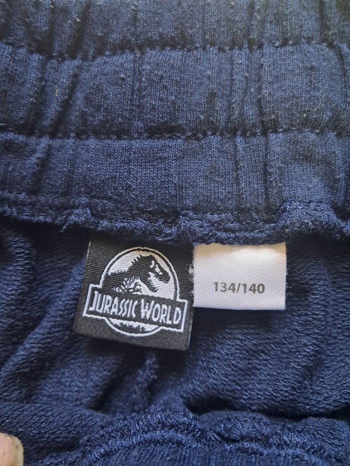 Survêtement jurassic World 9/10 ans - photo numéro 2