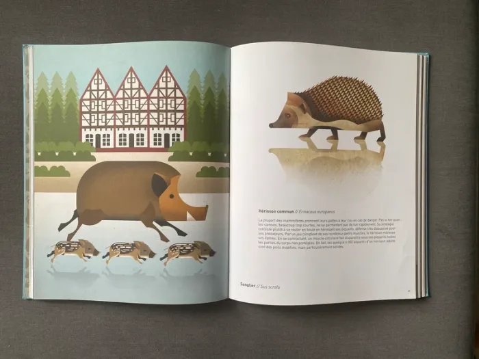 Animaux sauvages voyage en terres du nord Editions milan - photo numéro 3