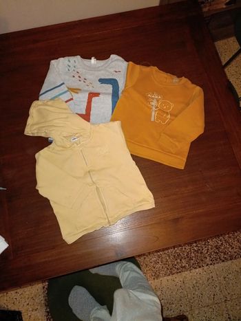 Lot 2 pull et une veste a zip