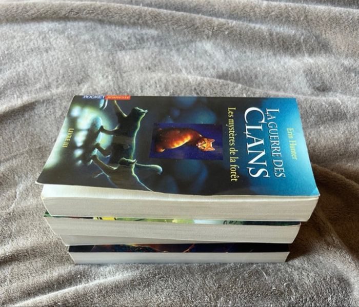 Lot 4 livres la guerre des clans premier cycle 3 à 6 de Erin Hunter - photo numéro 6