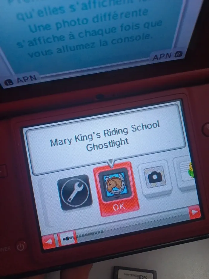 Lot 16 jeux Nintendo DS - photo numéro 7