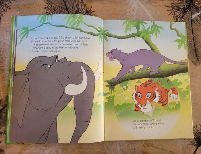 Le Livre De La Jungle Disney - photo numéro 3
