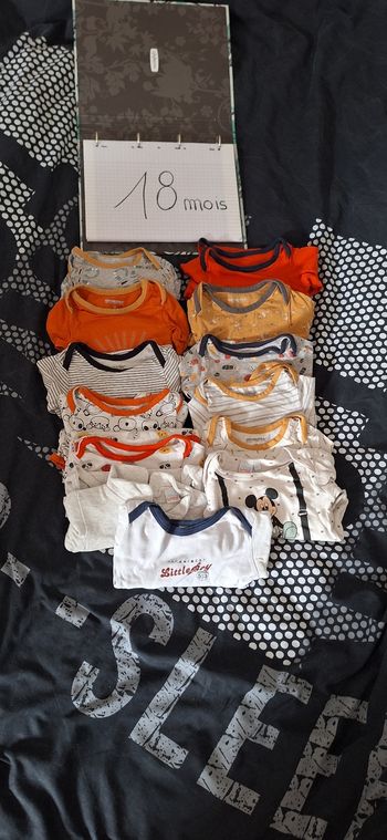 Lot de 13 bodys manche longues taille 18 mois