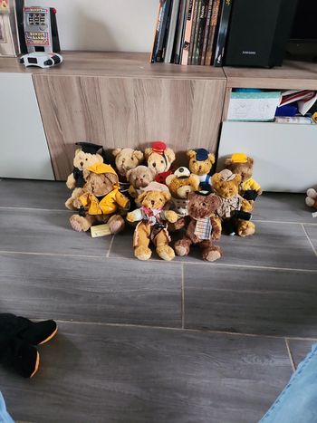 Lot de 11 teddy bear collection
