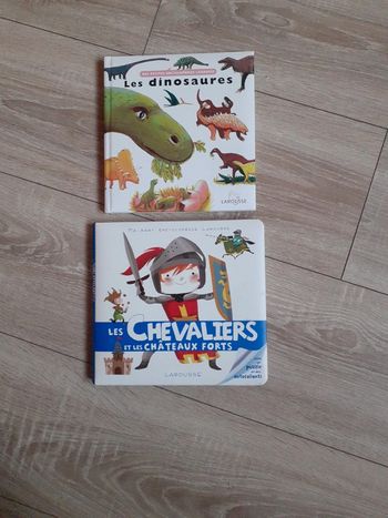 2 livres Les Chevaliers et les Dinosaures