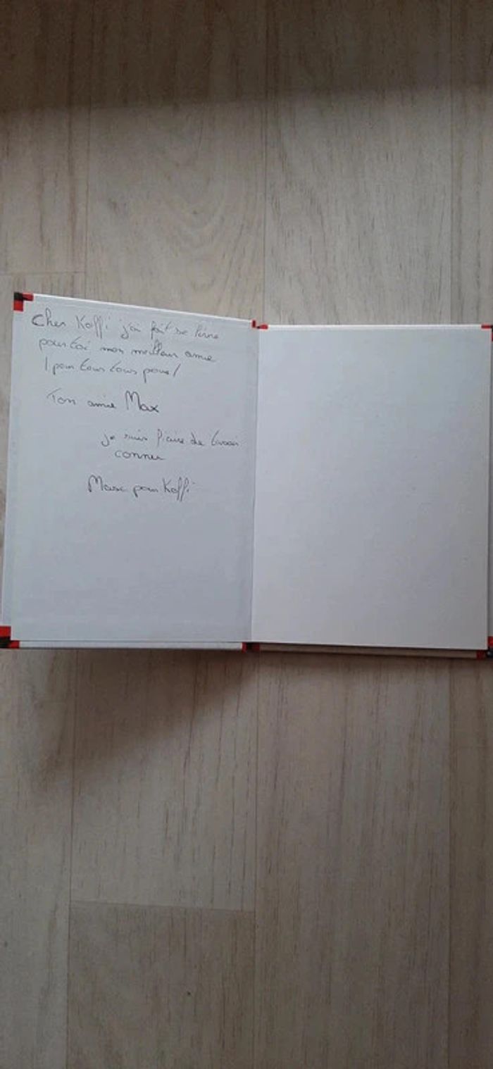 Max et Lili tome 24 - Max et Koffi sont copains - photo numéro 2