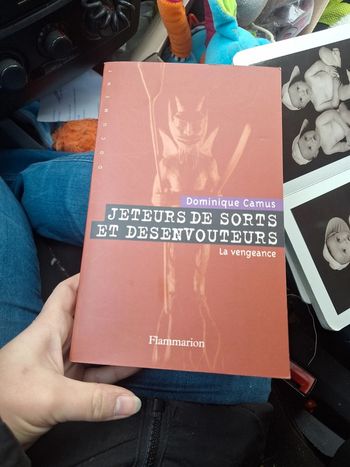 Tome 3 jeteur de sorts et desenvoutements la vengeance