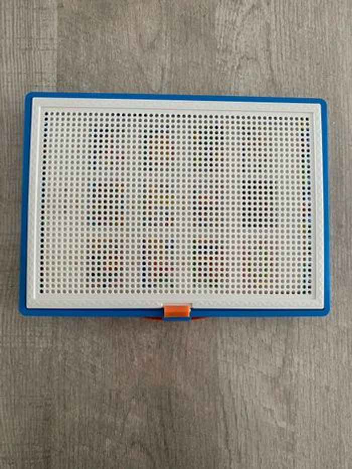 Jeu  de reproduction avec des pions de couleur - photo numéro 2