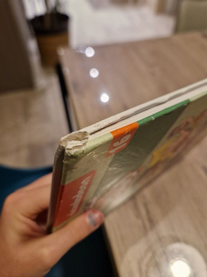 BD bienvenue chez les loud - photo numéro 5