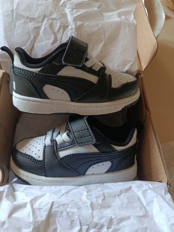 Basket puma
