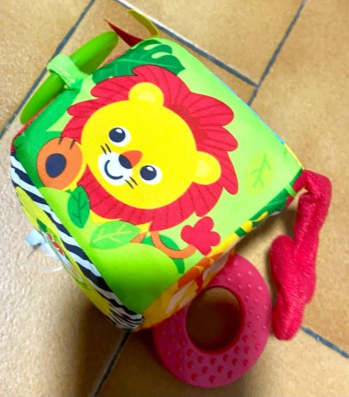 Cube multiactivité animaux