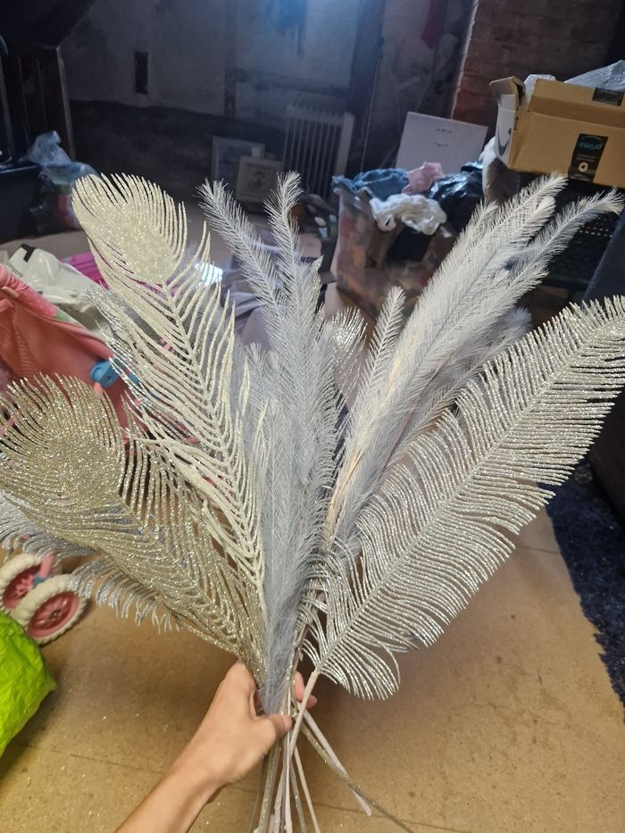 Fleur de pampas