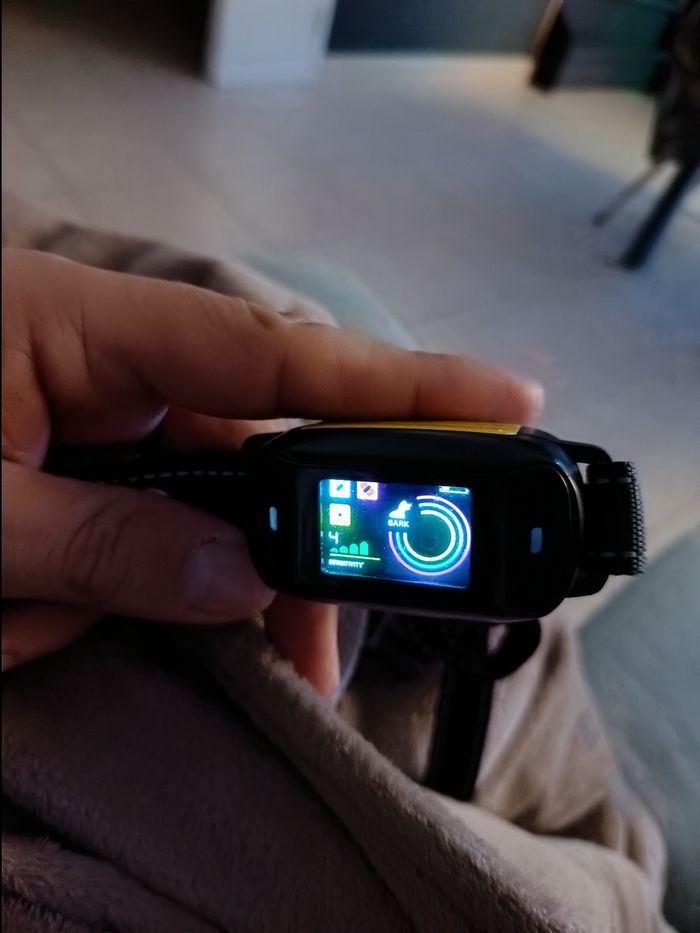 Collier Anti Aboiement - photo numéro 2