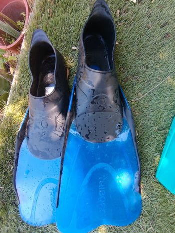 Palmes bleu taille 42/43