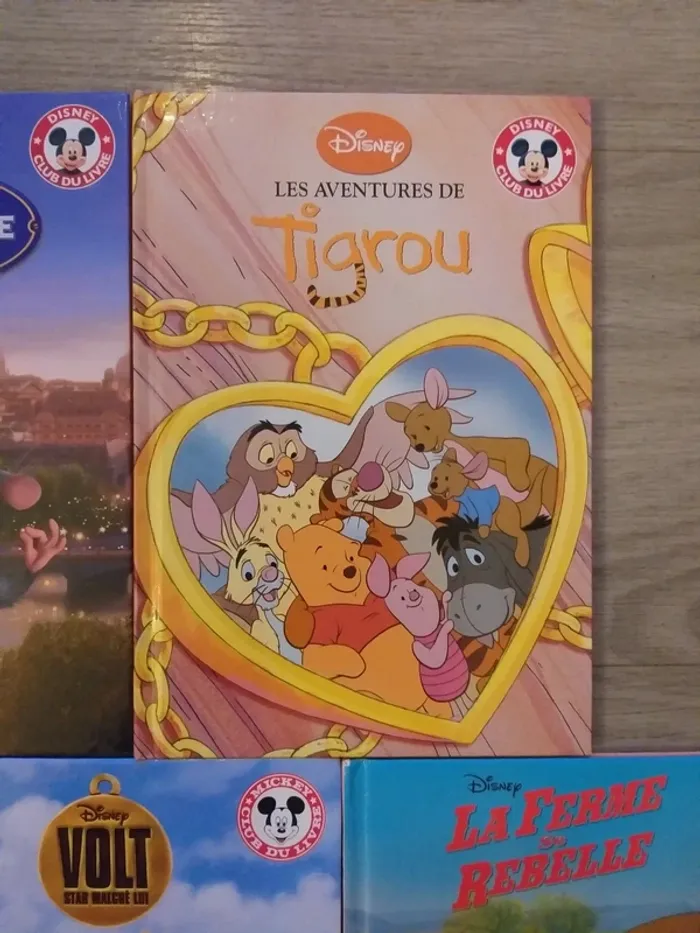 Lot de 5 livres - photo numéro 5