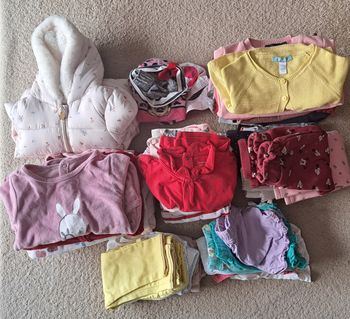 Très gros lot de vêtements fille taille 12 mois