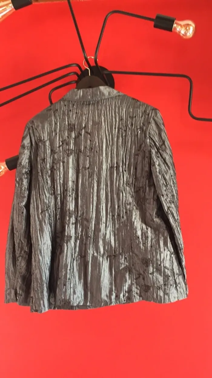 Veste et haut habillée de fêtes - photo numéro 3