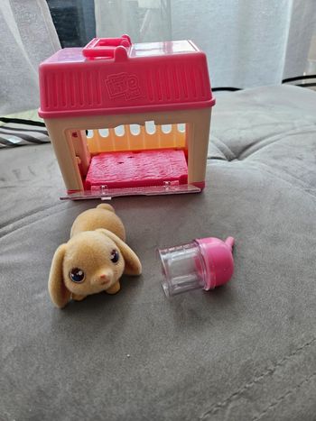 Lapin avec sa cage