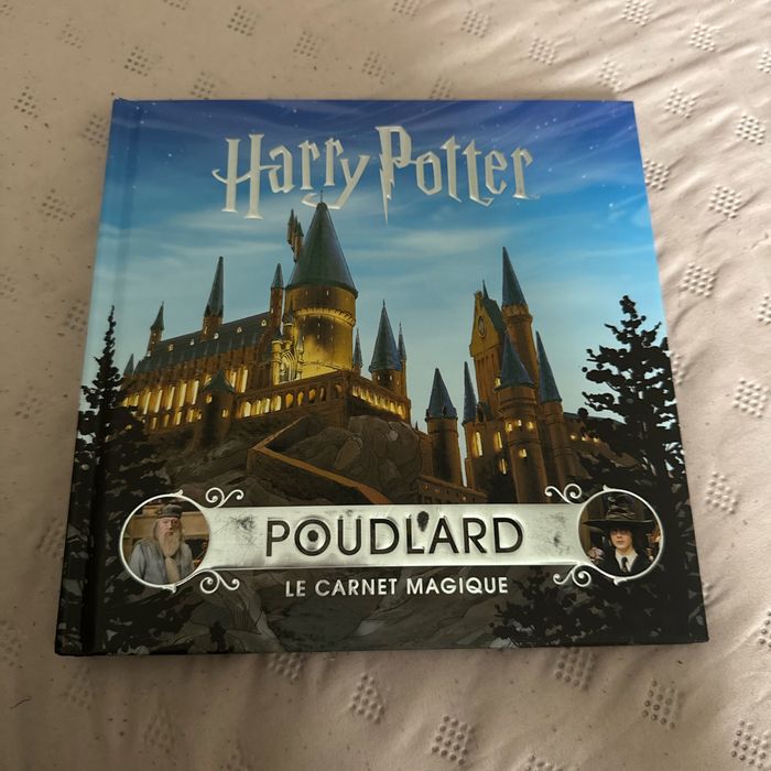 Harry porter poulard le carnet magique