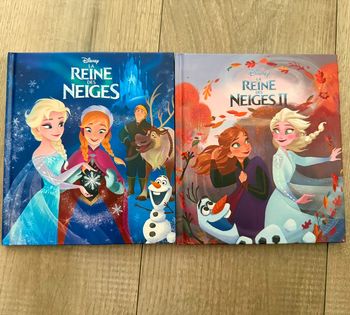 Livre La reine des neiges 1 et 2