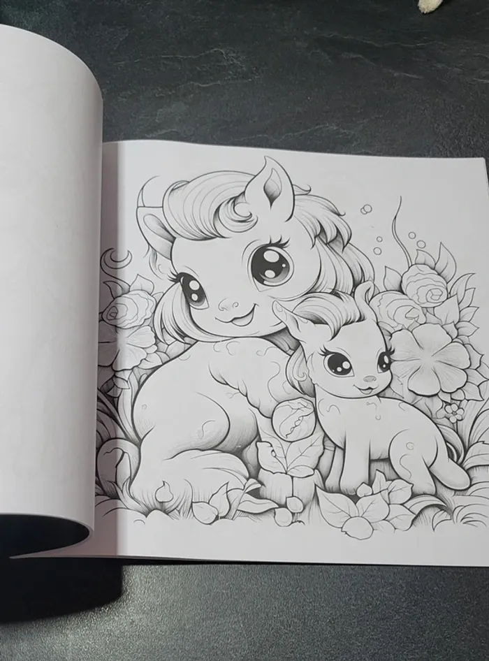 Livres coloriages - photo numéro 2