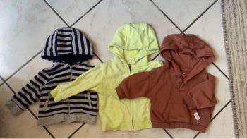 Vestes