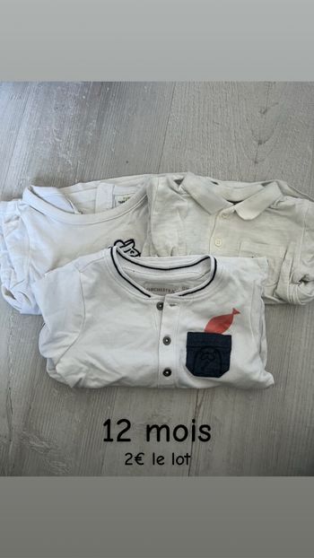 Lot tee shirts manches courtes