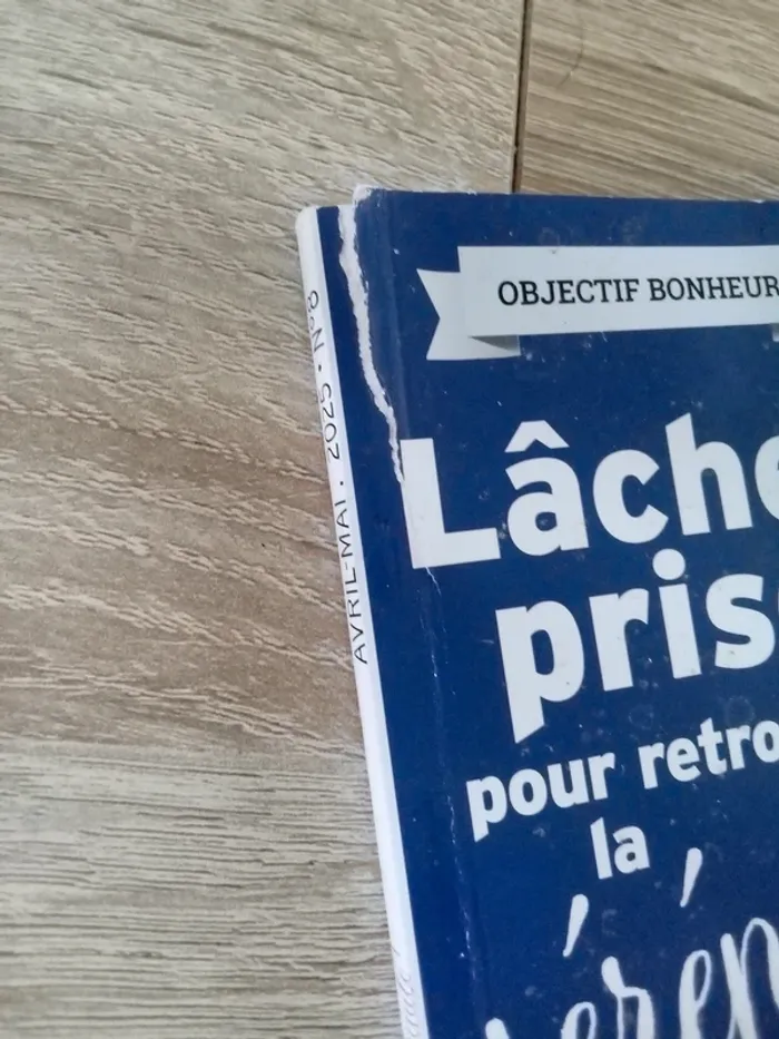 Lâcher prise revue numéro 8 - photo numéro 9