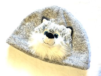 Bonnet Bob Gris Beige Tête Visage Raton Laveur Yeux Bleus Animal Faune Accessoire Enfants