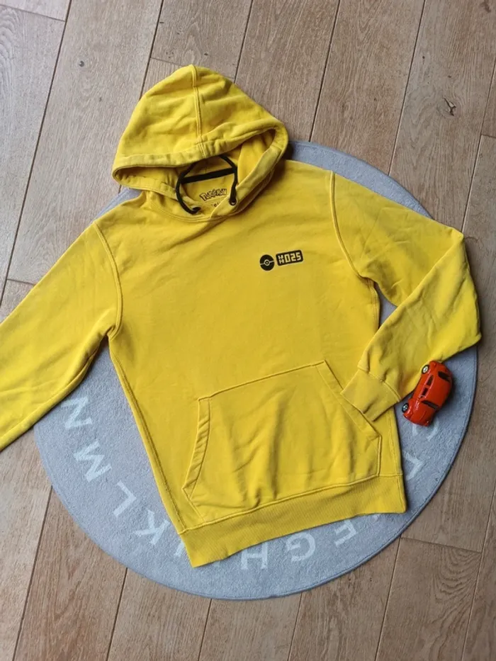 Pull a capuche 👕 pokémon