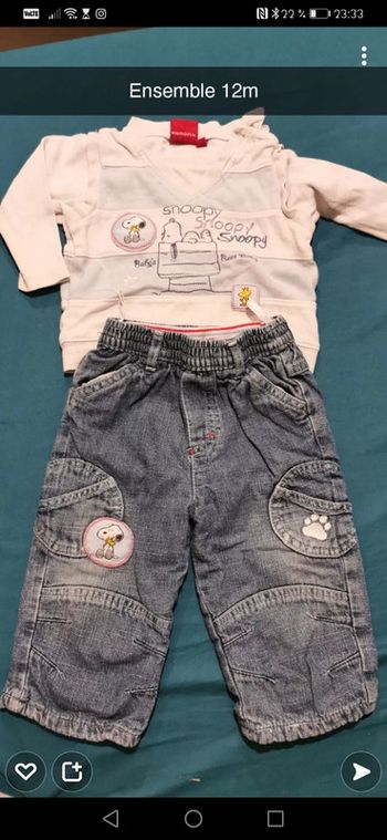 Ensemble snoopy