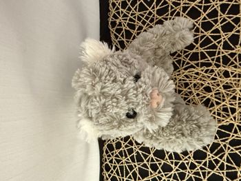 doudou chat bouclettes gris blanc nez rose