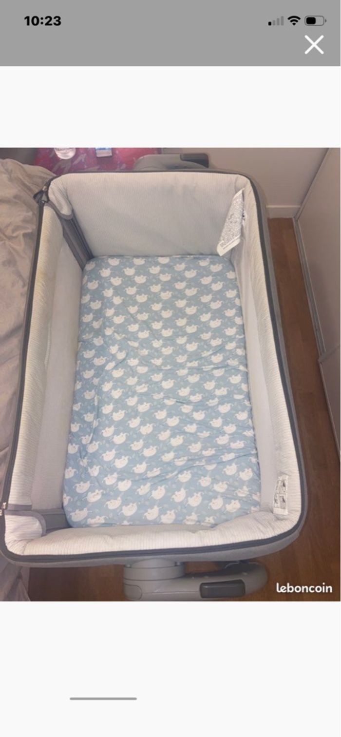 Cododo Chicco - photo numéro 4