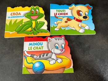 Lot 3 livres enfant