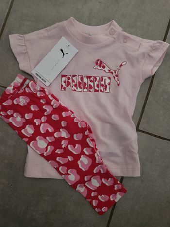 Ensemble bébé puma