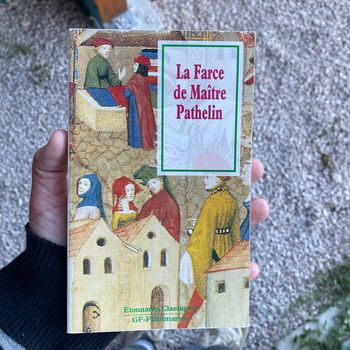 Livre la France de maître pathelin