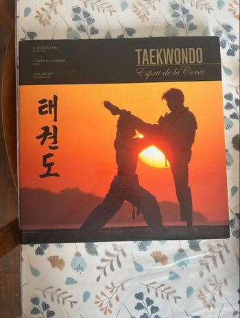 Taekwondo esprit de la Corée 